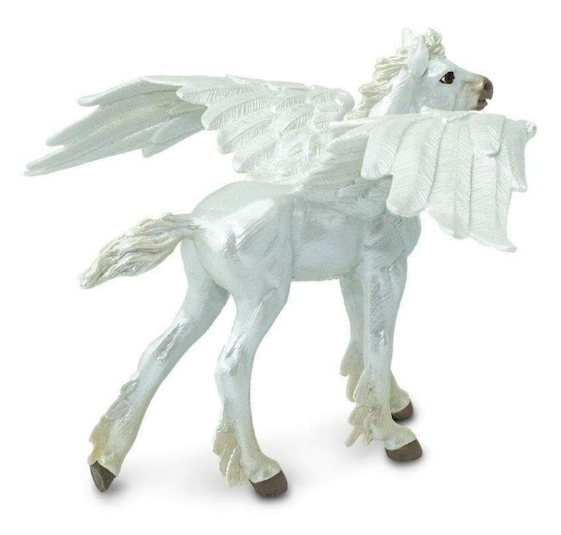 Baby Pegasus
