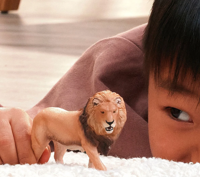 African Lion