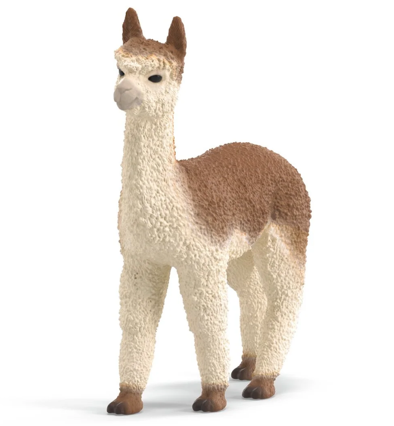 Alpaca