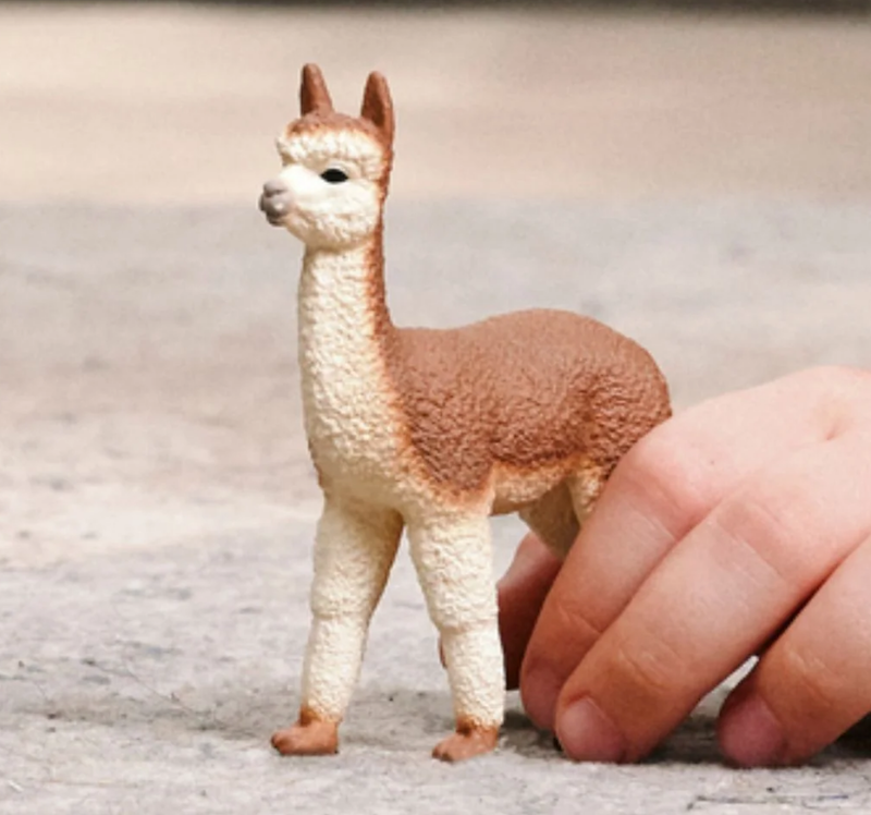 Alpaca