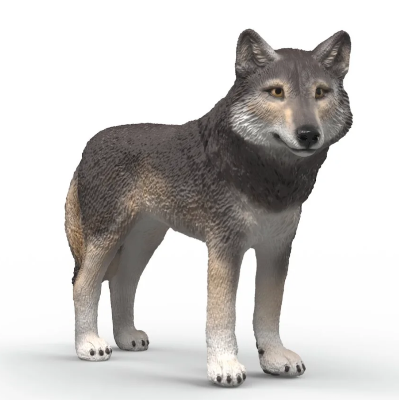 American Wolf