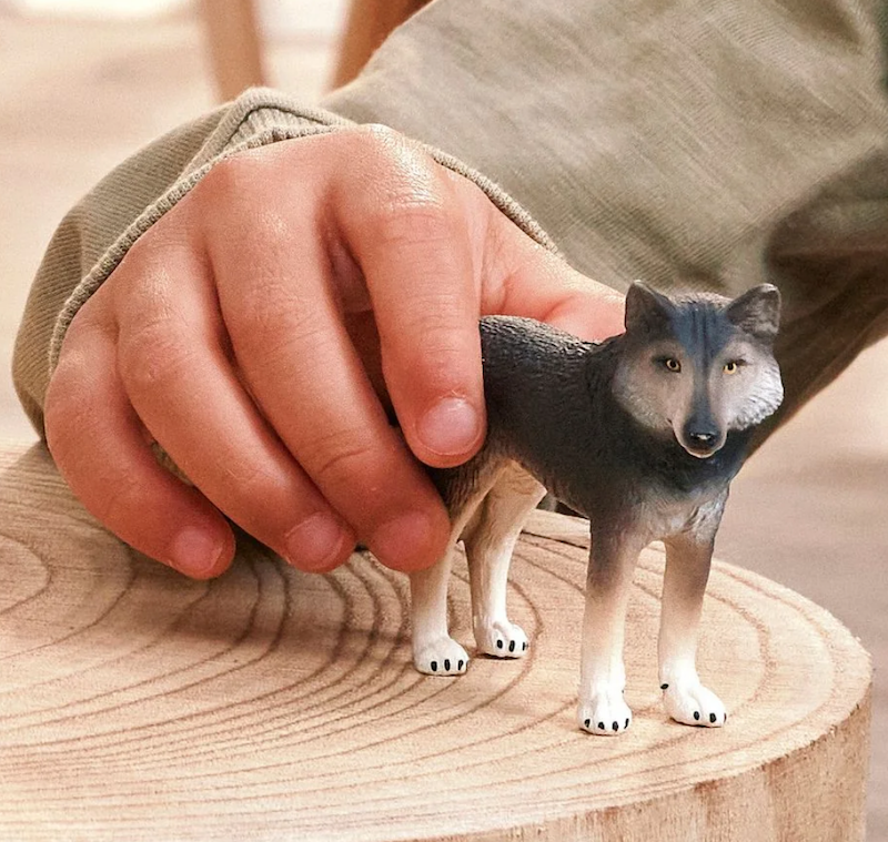 American Wolf
