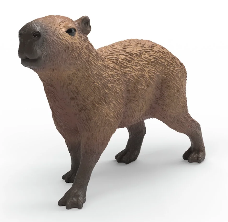 Capybara