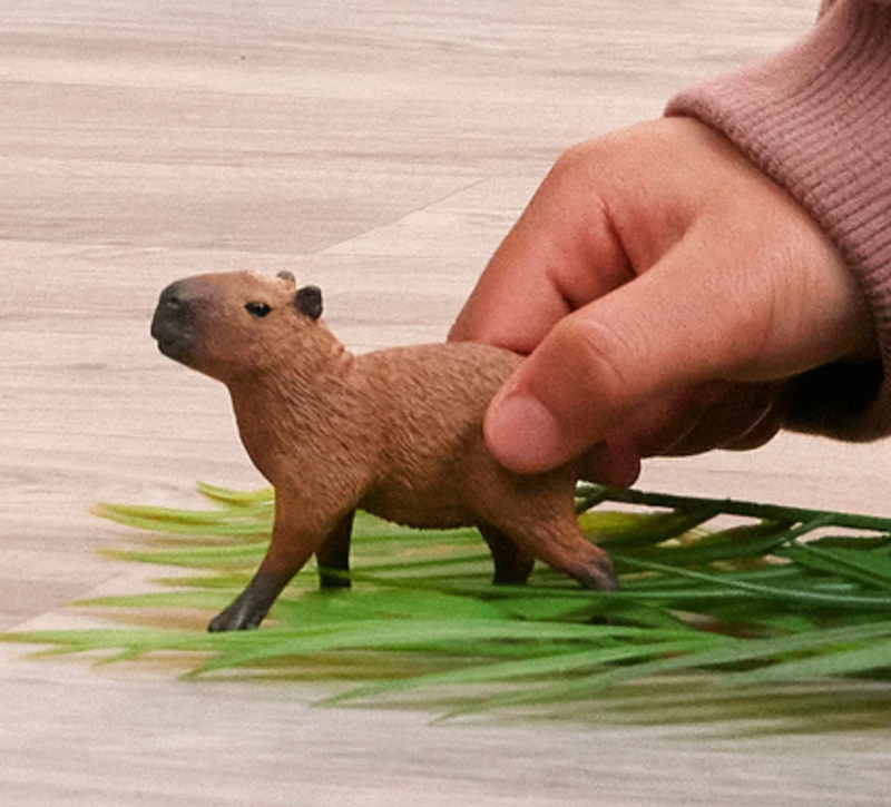 Capybara