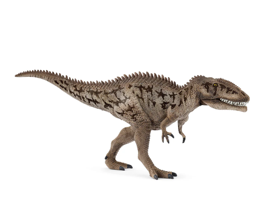 Carcharodontosaurus