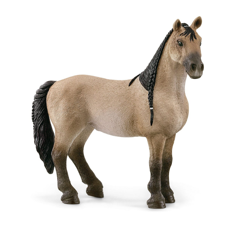 Criollo Definitivo Mare