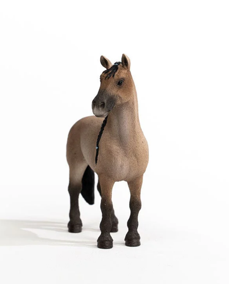 Criollo Definitivo Mare