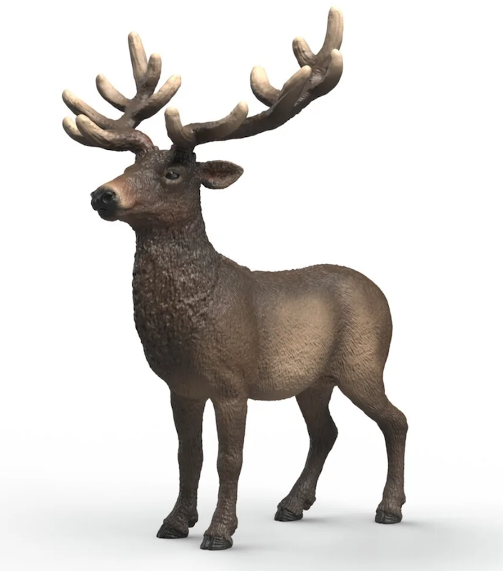 Elk