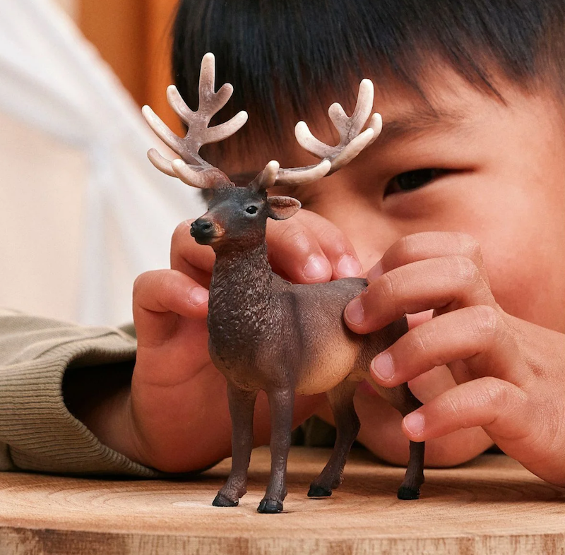 Elk