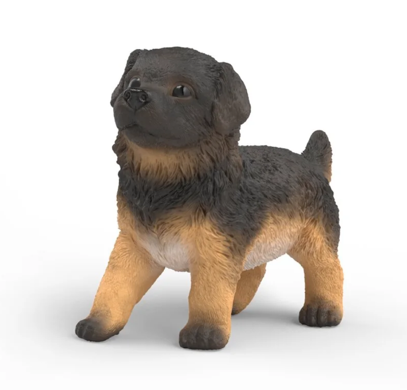 German Shepherd Puppy