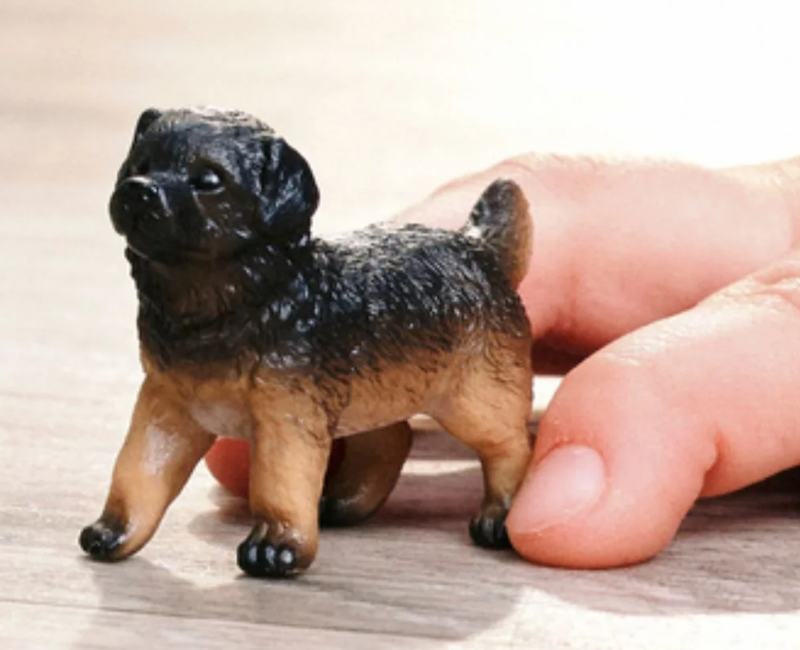 German Shepherd Puppy