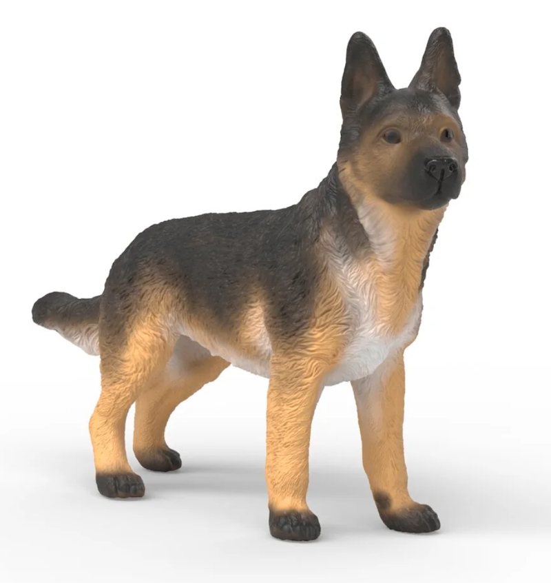 Female German Shepherd