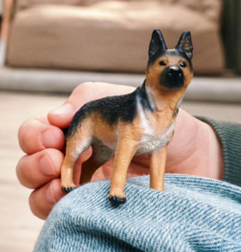 Female German Shepherd