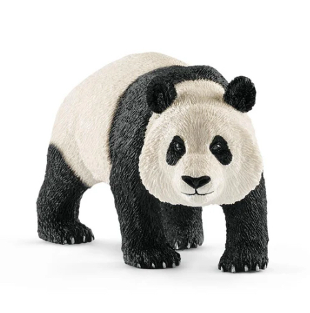 Giant Panda