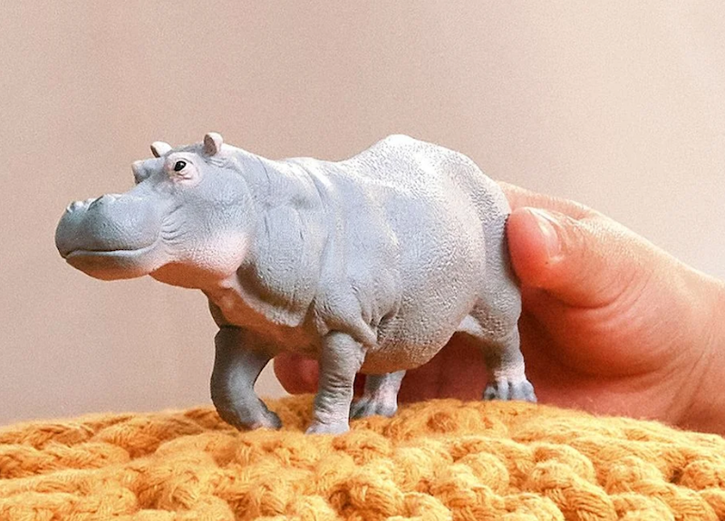 Hippopotamus