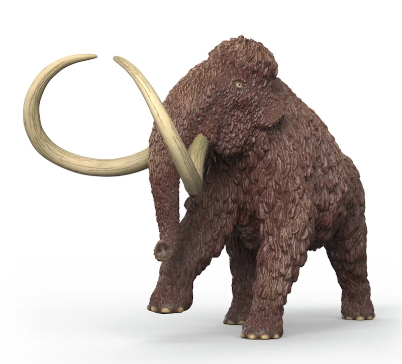 Mammoth