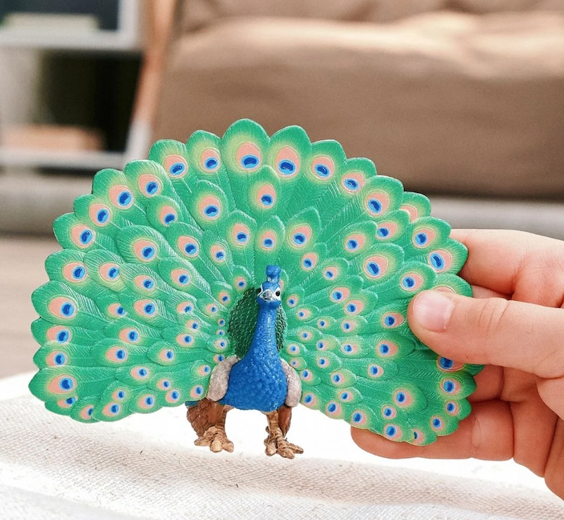 Peacock