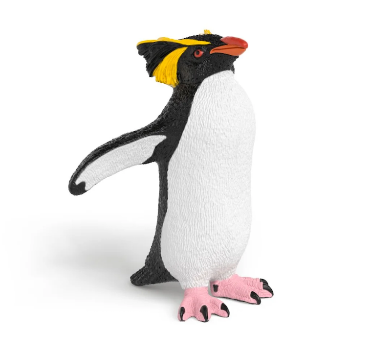 Rockhopper Penguin