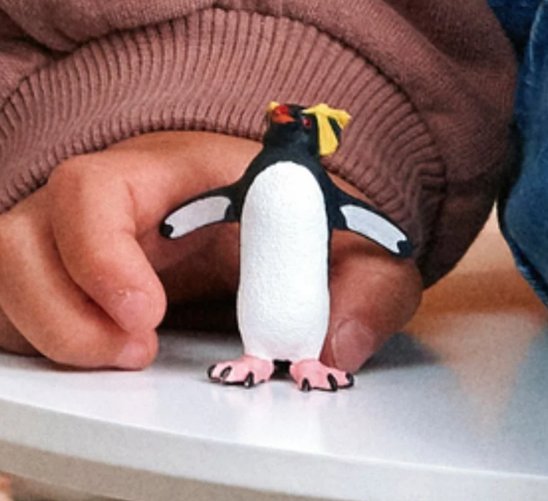 Rockhopper Penguin