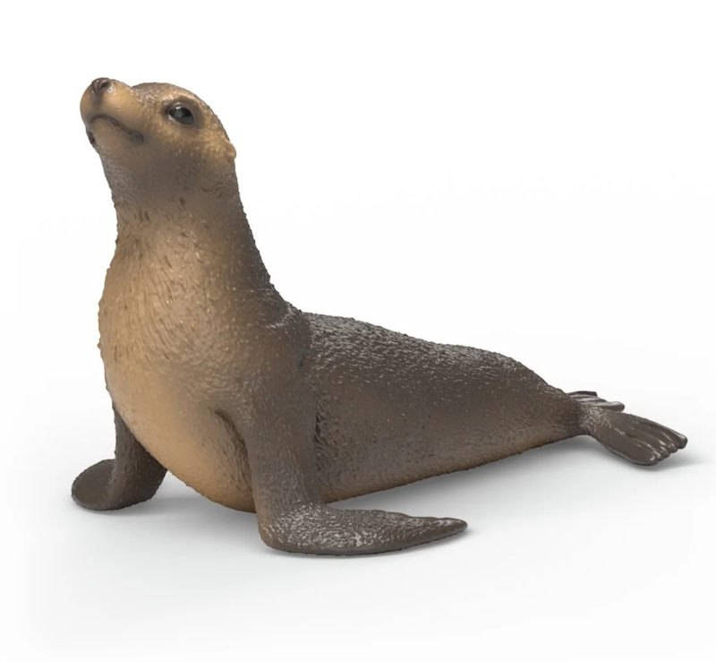 Sea Lion
