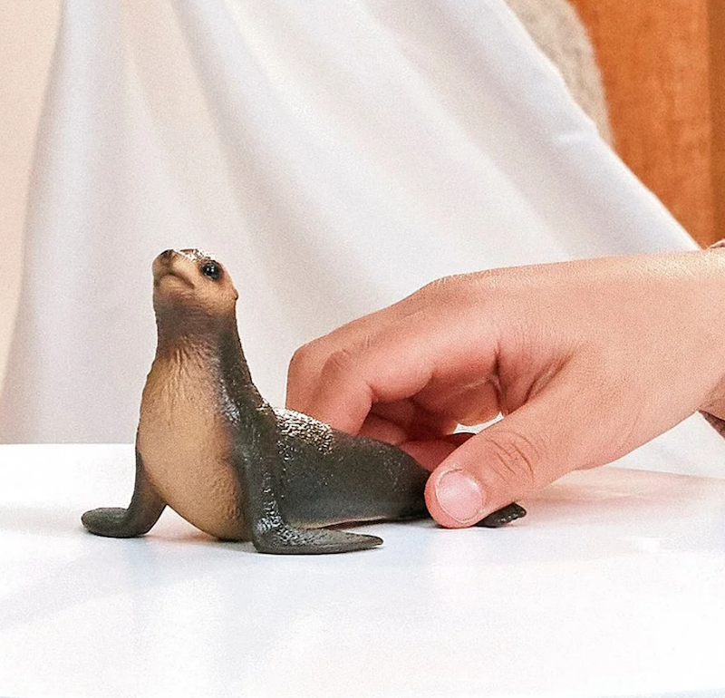 Sea Lion