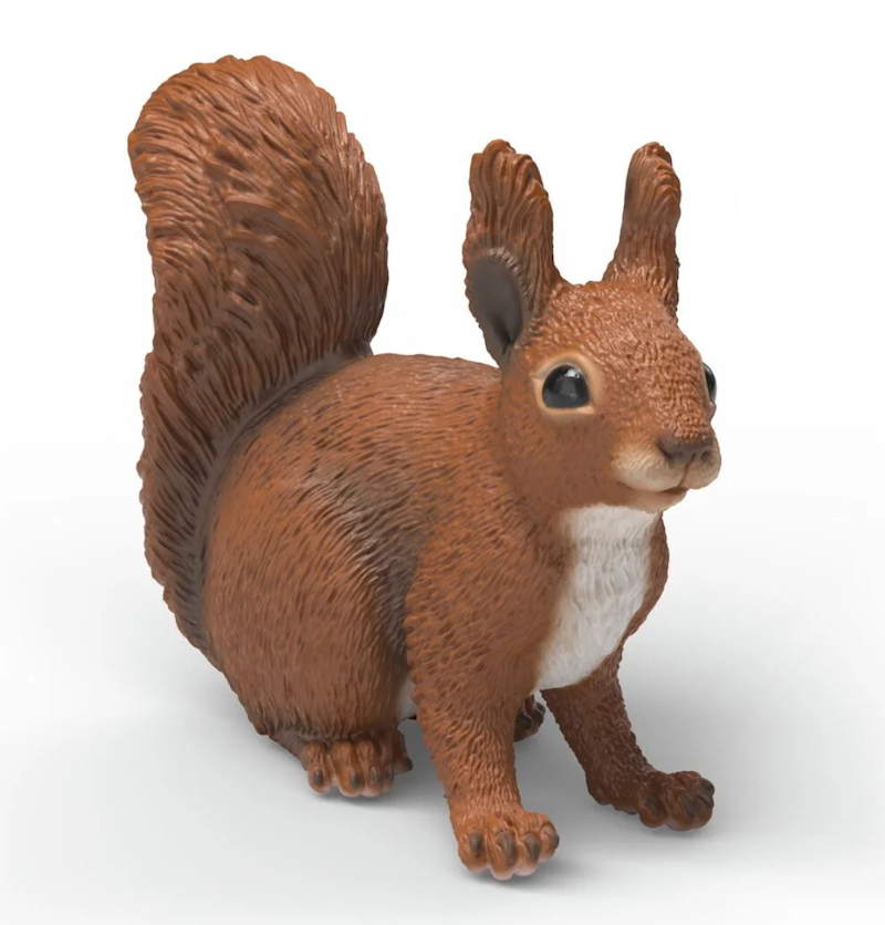 Squirrel