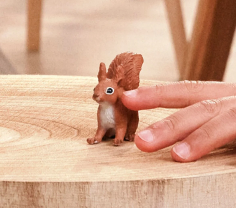 Squirrel