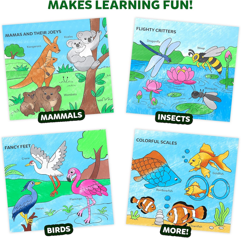 Color & Learn Animals