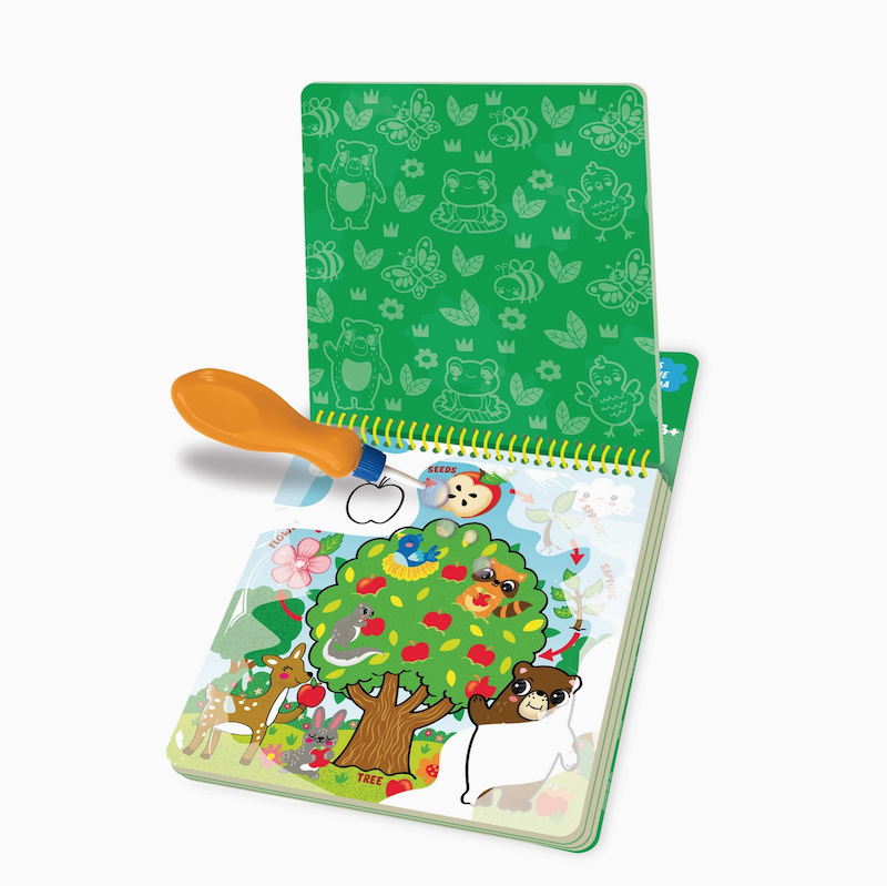 Splash-Tastic  Life Cycles