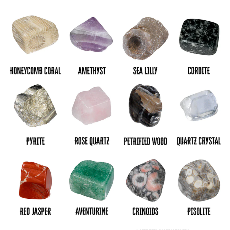 I Dig It! Rocks & Fossils Excavation Kit