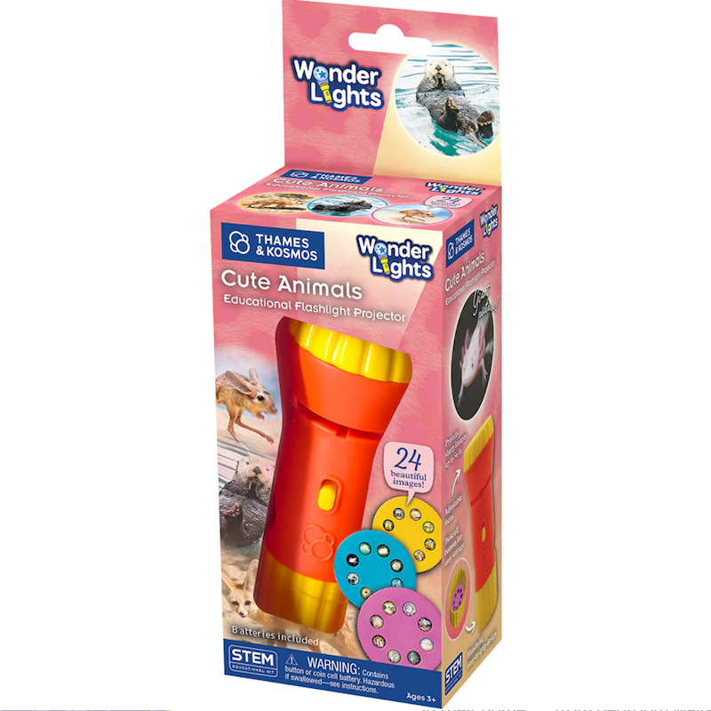 Wonder Lights -