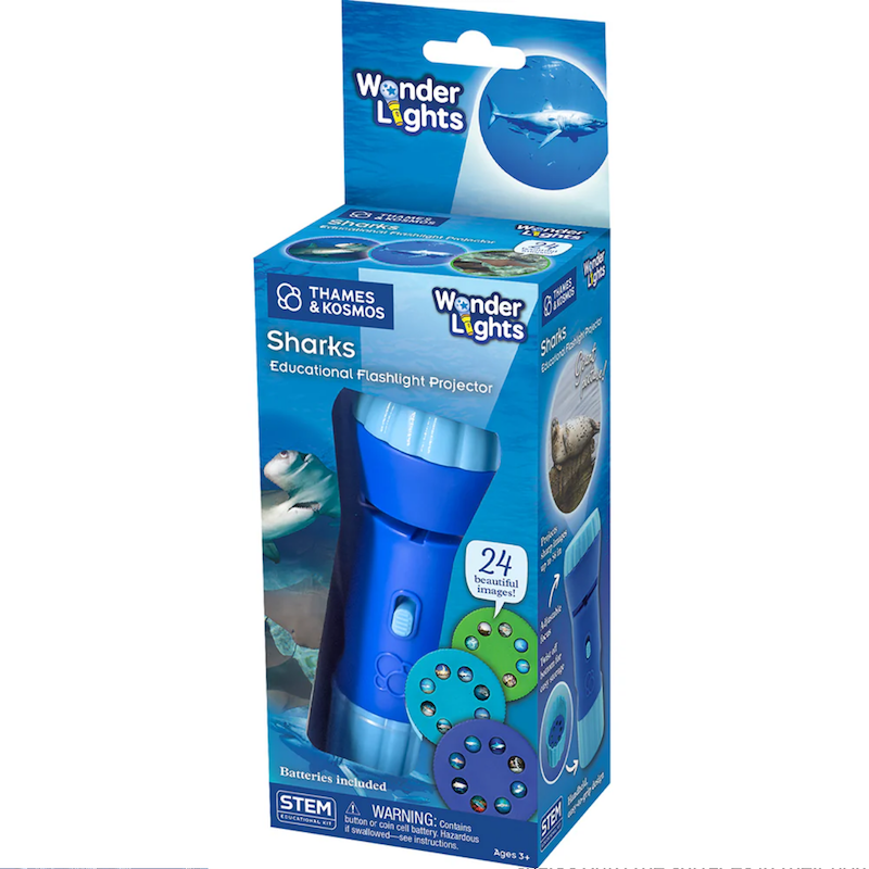 Wonder Lights -