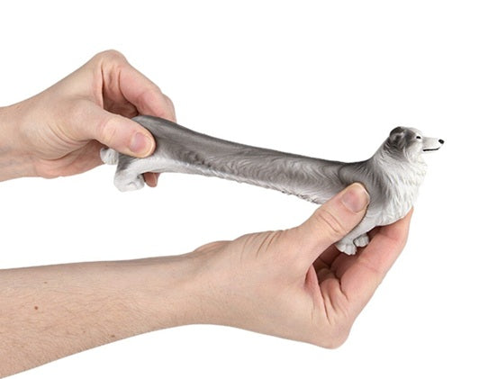 Stretchy Collie