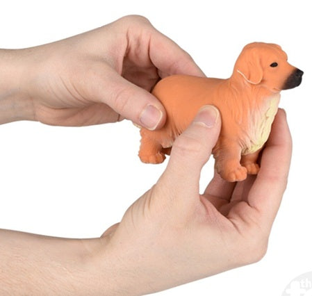Stretchy Golden Retriever
