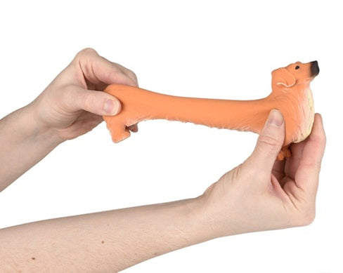 Stretchy Golden Retriever