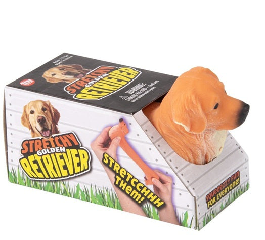 Stretchy Golden Retriever