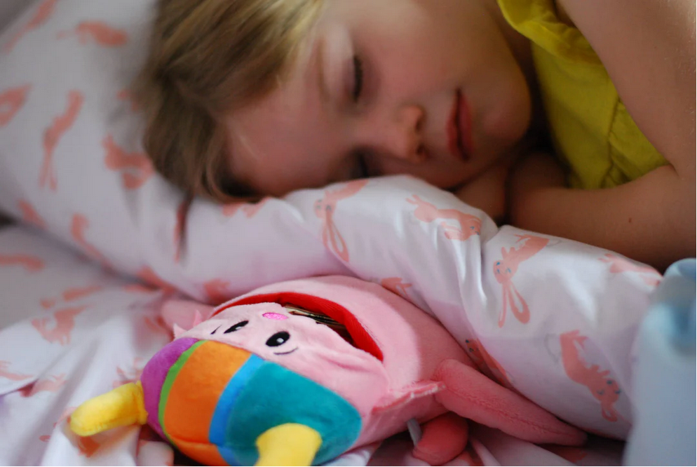 Tooth Fairy Pillow