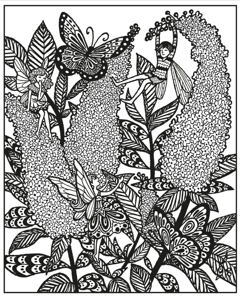 Fairy Gardens Magic Painting Book