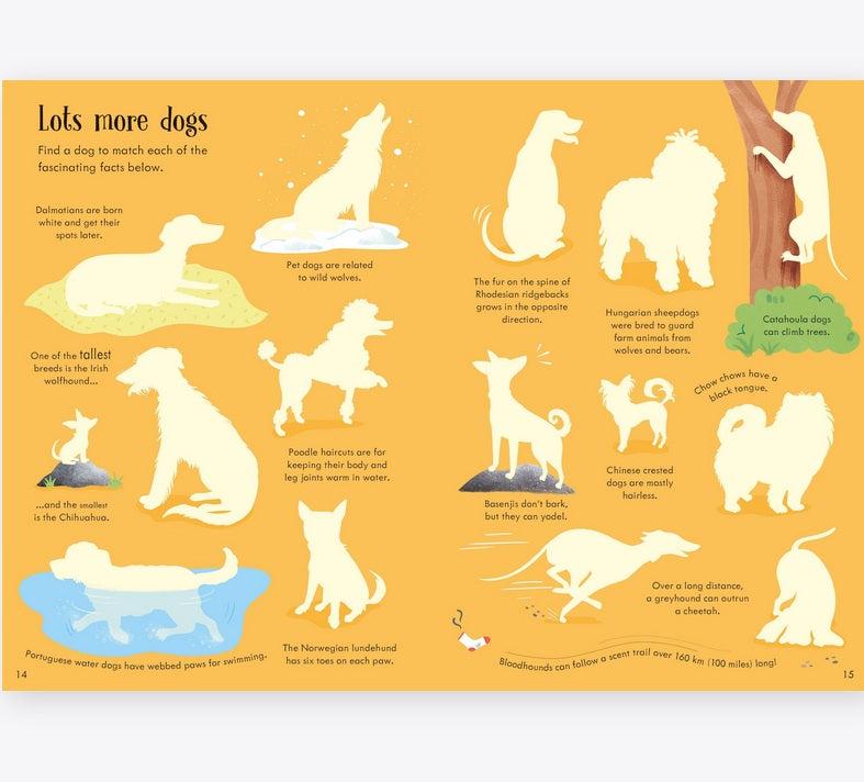 Little First Stickers Dogs and Puppies