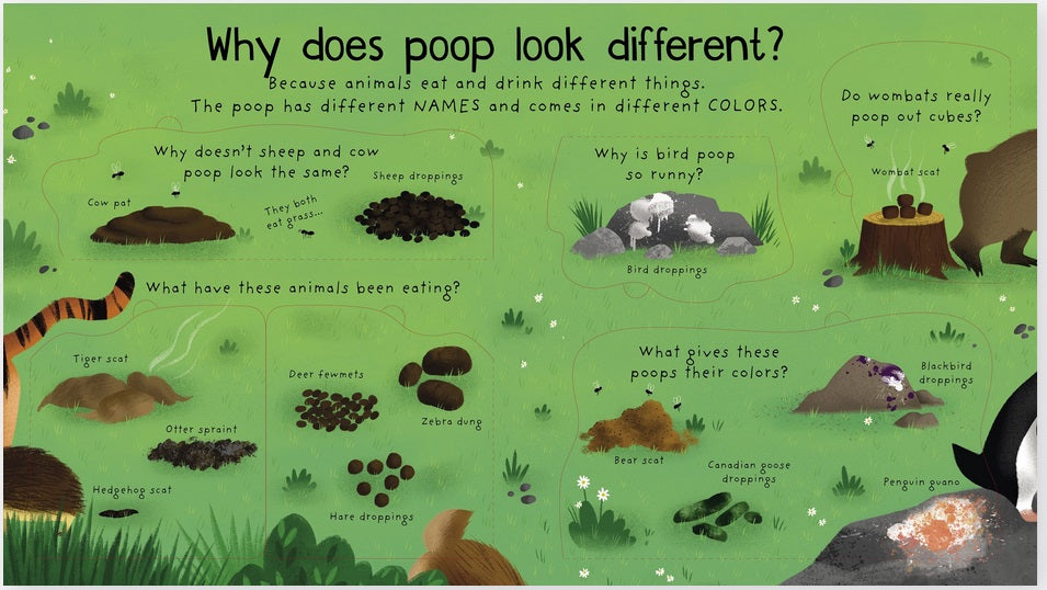 Where Does Poop Go?