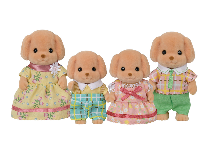 Toy Poodle Family