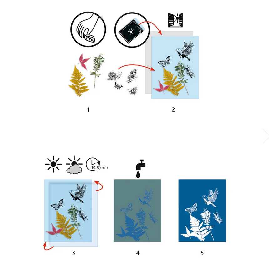 Cyanotype Starter Craft Kit