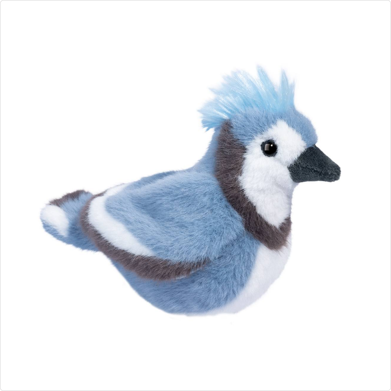 Denim Blue Jay
