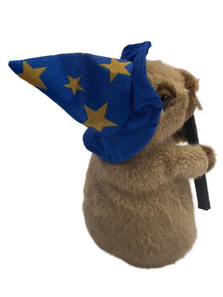 Wizard Capybara