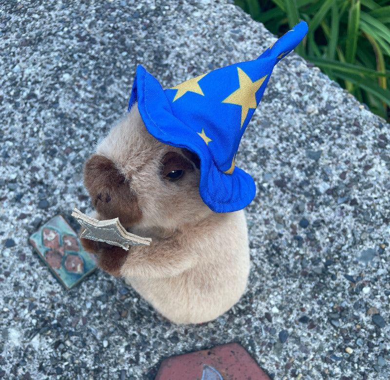 Wizard Capybara