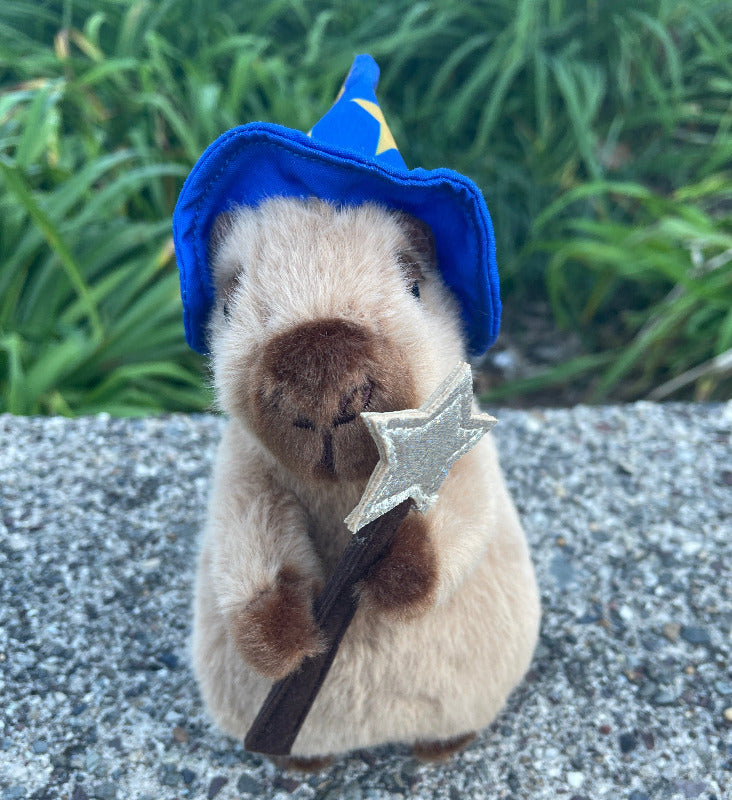 Wizard Capybara