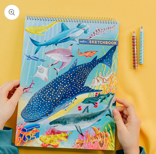 Shark Sketchbook