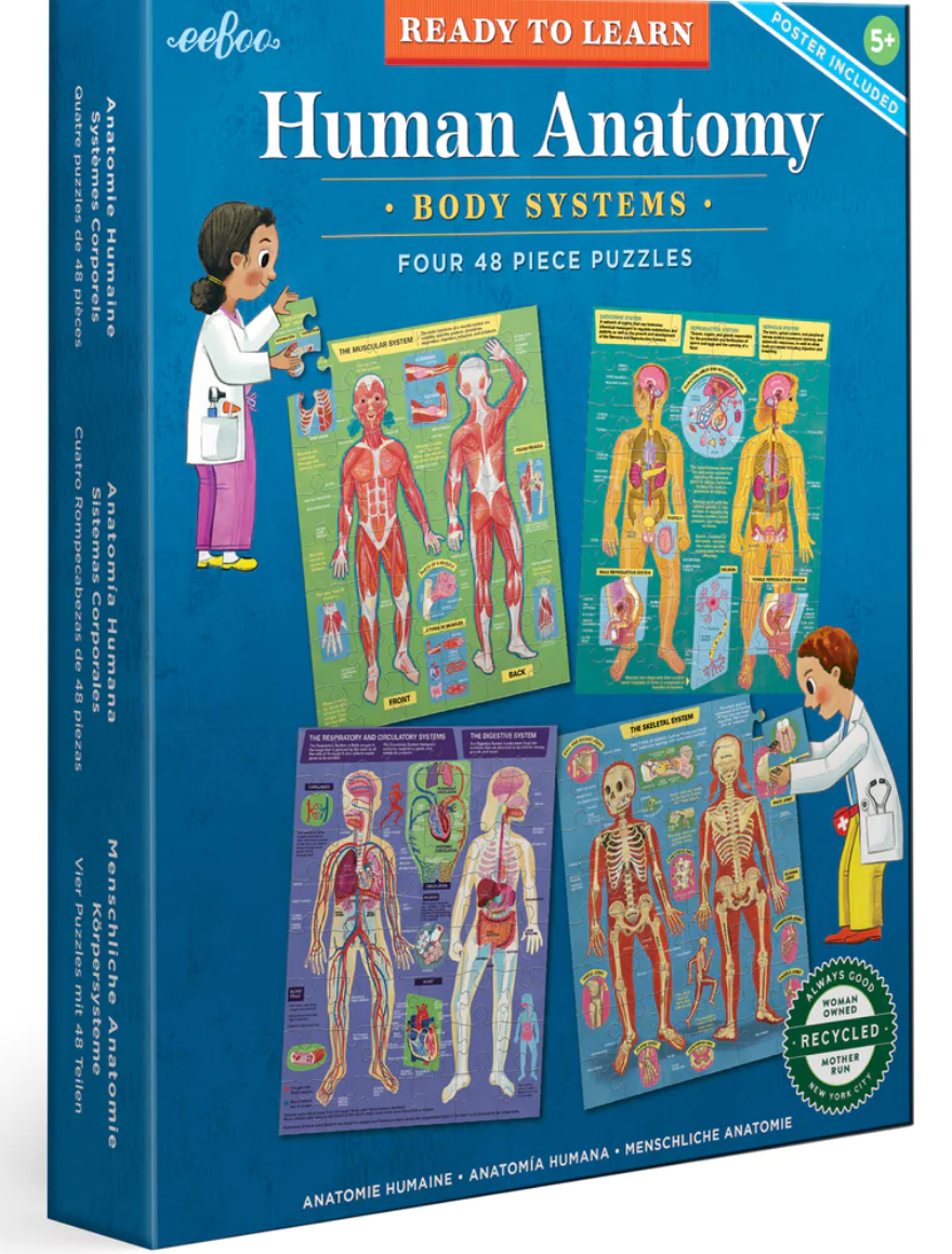 Human Anatomy - Four 48 Pc Puzzles
