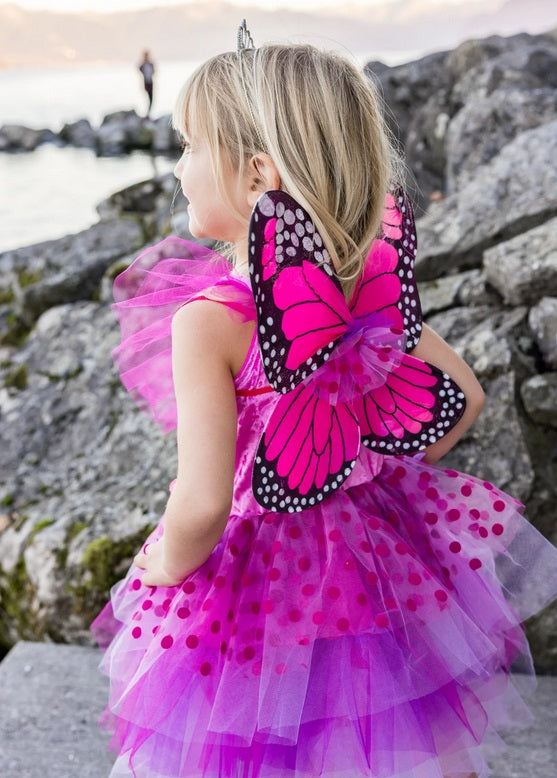 Fairy Blooms Deluxe Dress & Wings, Size 3-4