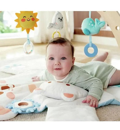Snuggle Bear Activity Gym